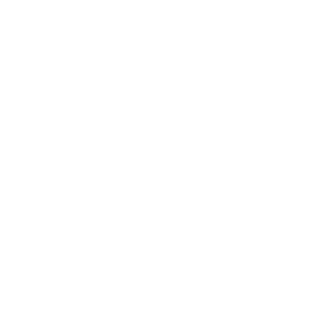 Safra Invest